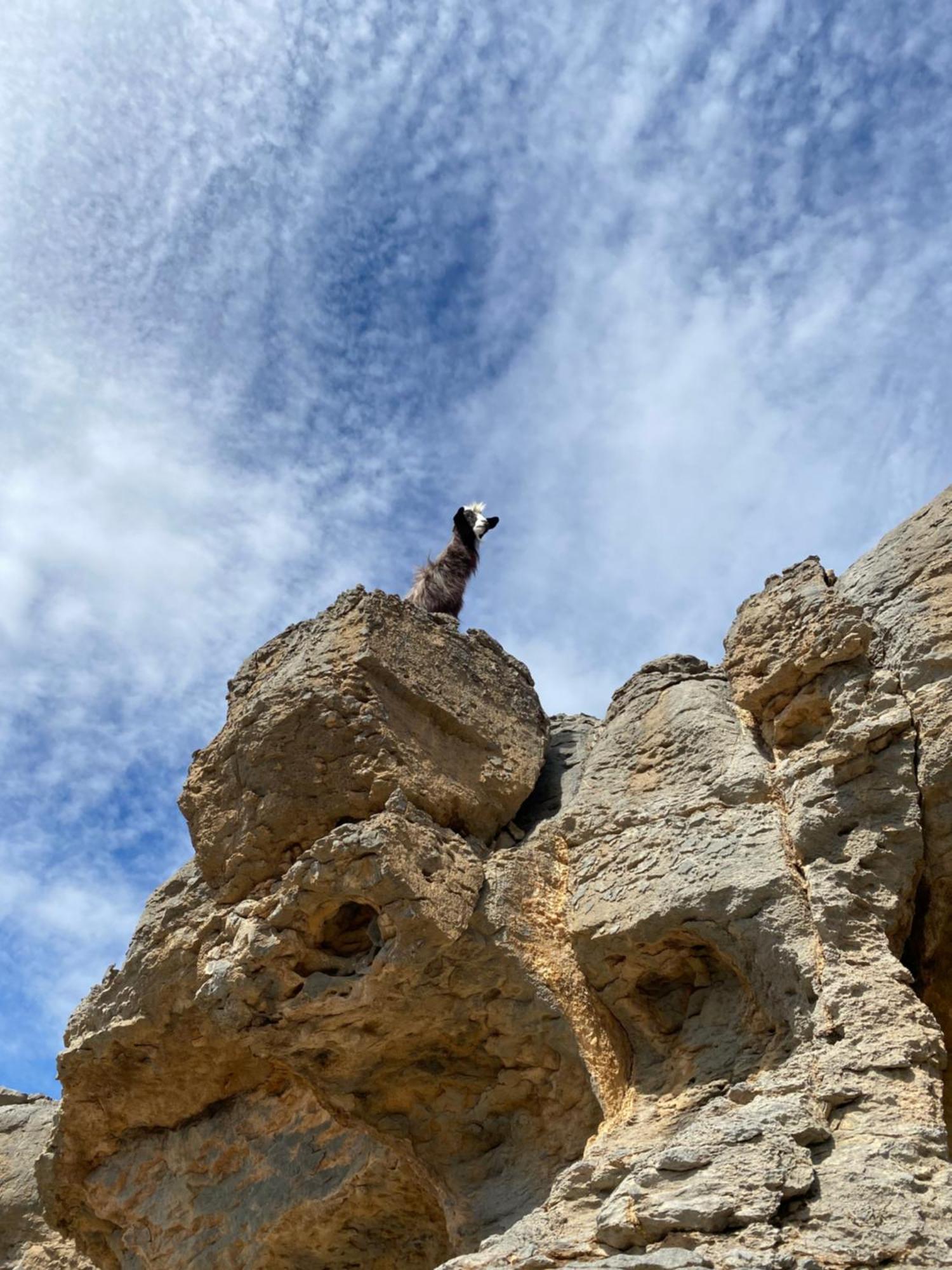 Panorama Guest House Jabal Shams Saab Bani Khamis Exterior foto